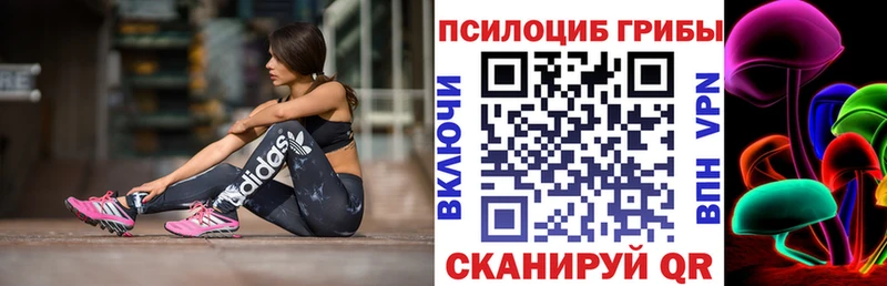 KRAKEN   Ленск  Псилоцибиновые грибы Psilocybe  магазин продажи  
